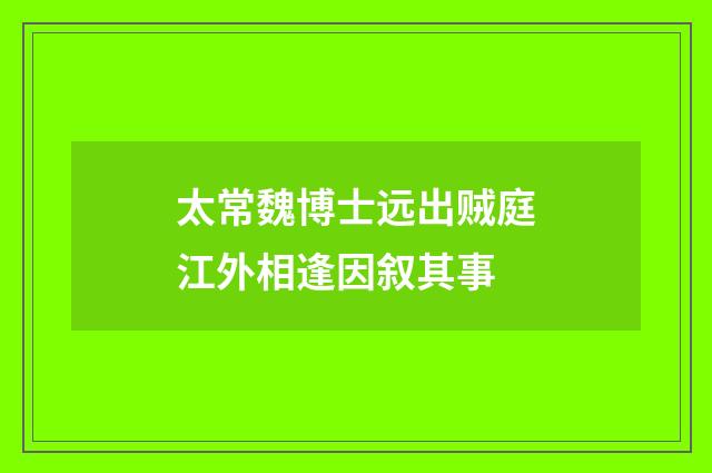 太常魏博士远出贼庭江外相逢因叙其事