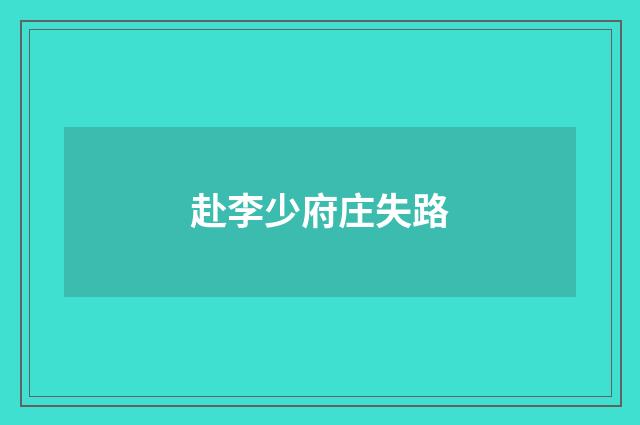 赴李少府庄失路