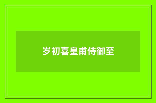 岁初喜皇甫侍御至