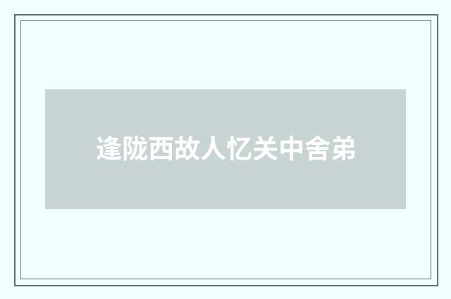 逢陇西故人忆关中舍弟