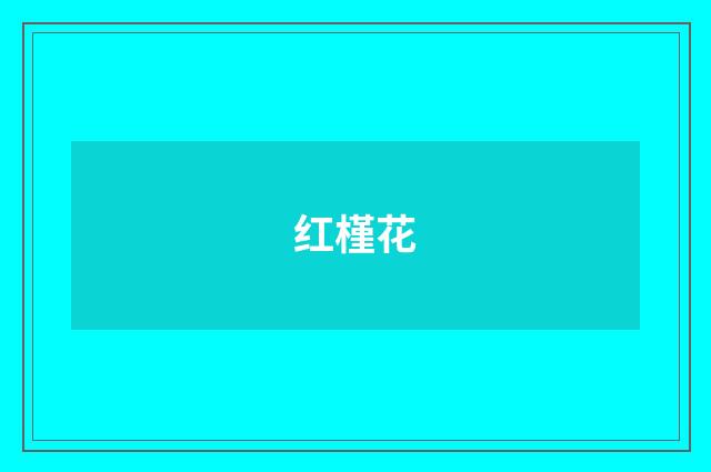 红槿花