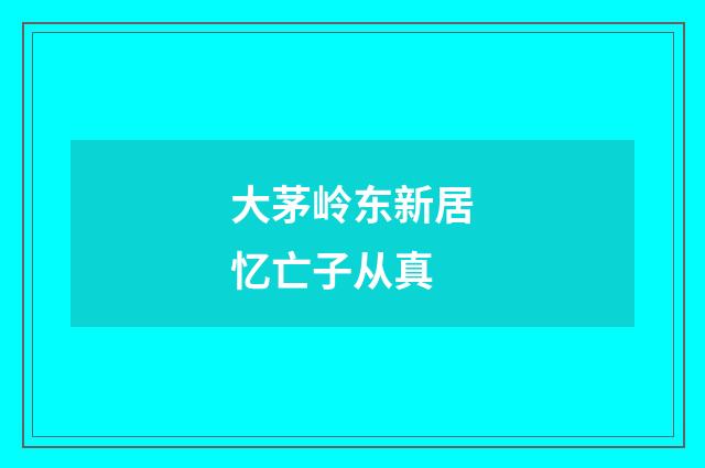大茅岭东新居忆亡子从真