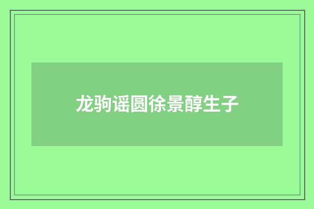 龙驹谣圆徐景醇生子