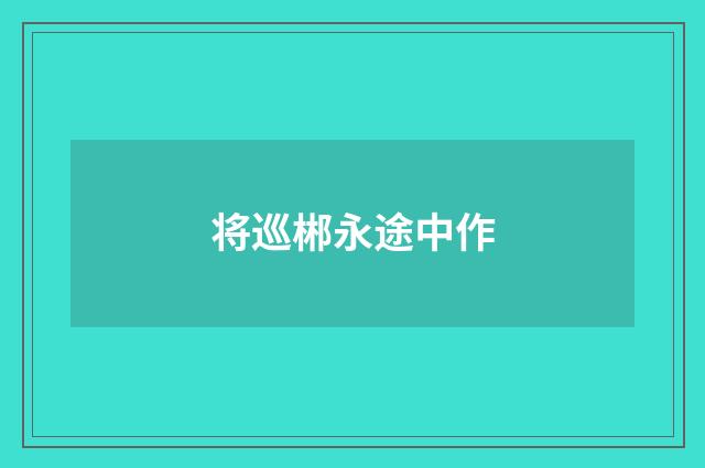 将巡郴永途中作