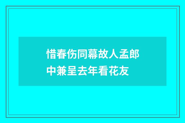 惜春伤同幕故人孟郎中兼呈去年看花友