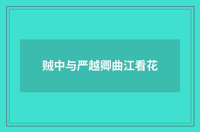 贼中与严越卿曲江看花