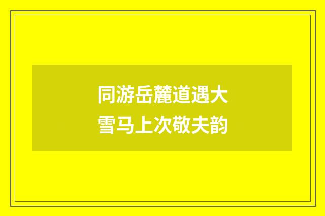 同游岳麓道遇大雪马上次敬夫韵