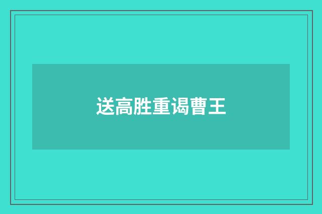 送高胜重谒曹王