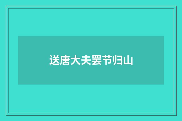 送唐大夫罢节归山