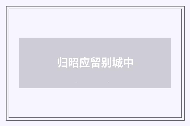 归昭应留别城中