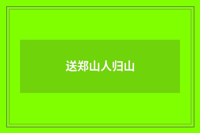 送郑山人归山