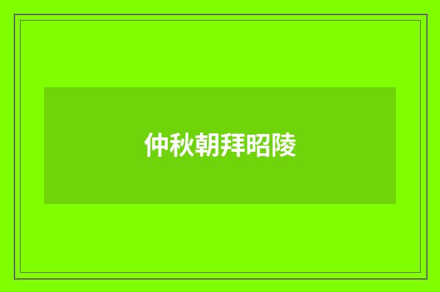 仲秋朝拜昭陵