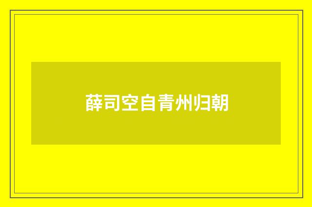 薛司空自青州归朝