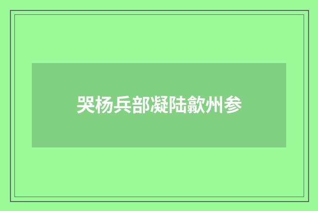 哭杨兵部凝陆歙州参