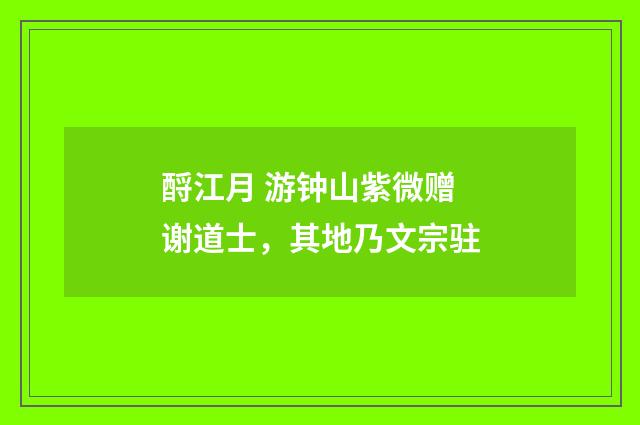 酹江月 游钟山紫微赠谢道士，其地乃文宗驻
