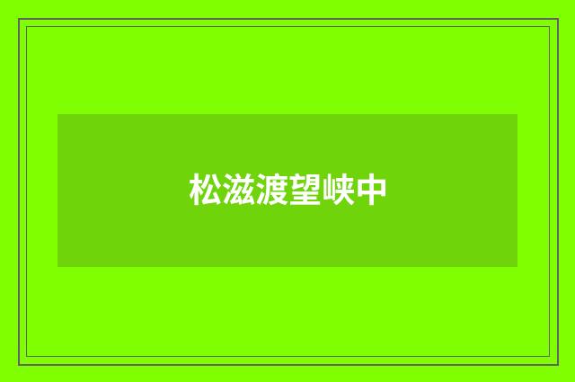 松滋渡望峡中