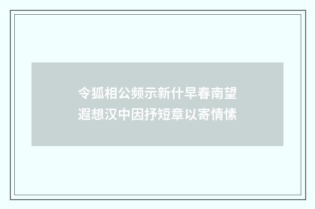 令狐相公频示新什早春南望遐想汉中因抒短章以寄情愫