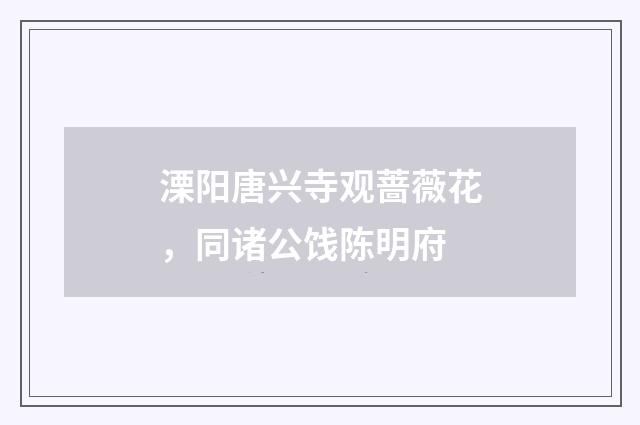 溧阳唐兴寺观蔷薇花，同诸公饯陈明府