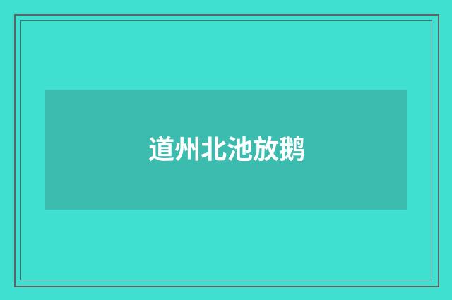 道州北池放鹅