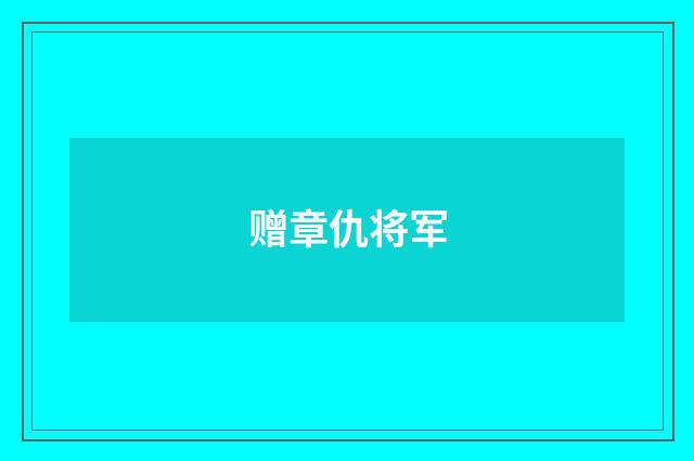 赠章仇将军