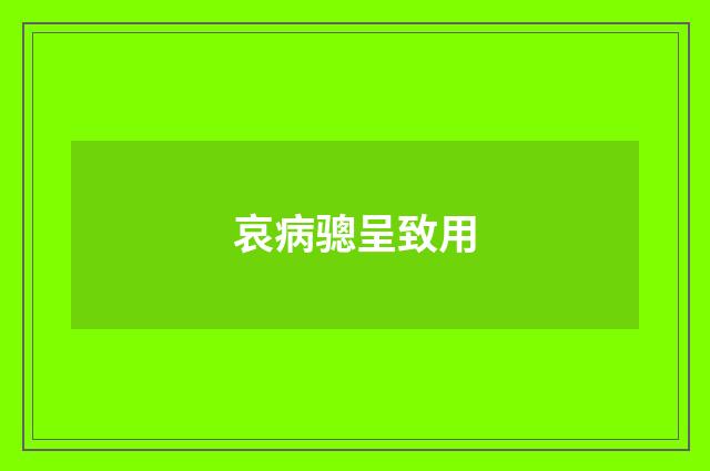 哀病骢呈致用