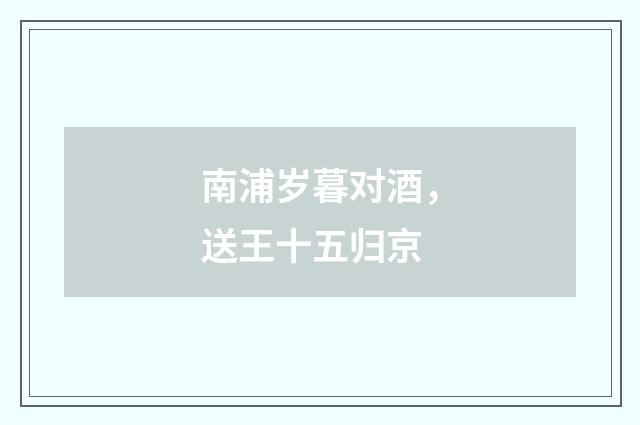 南浦岁暮对酒，送王十五归京