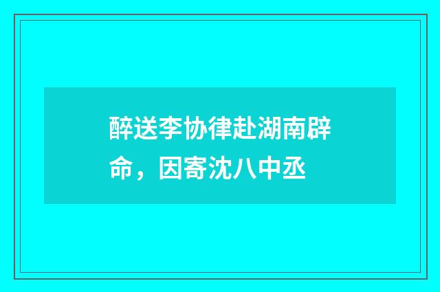 醉送李协律赴湖南辟命，因寄沈八中丞