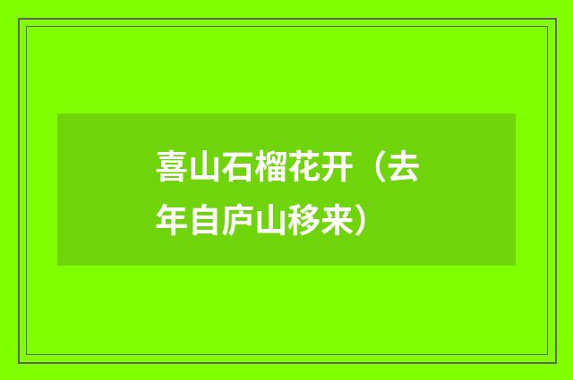 喜山石榴花开(去年自庐山移来)