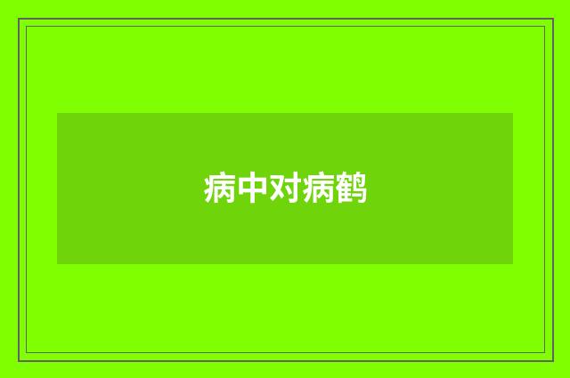 病中对病鹤