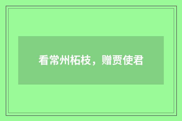 看常州柘枝，赠贾使君