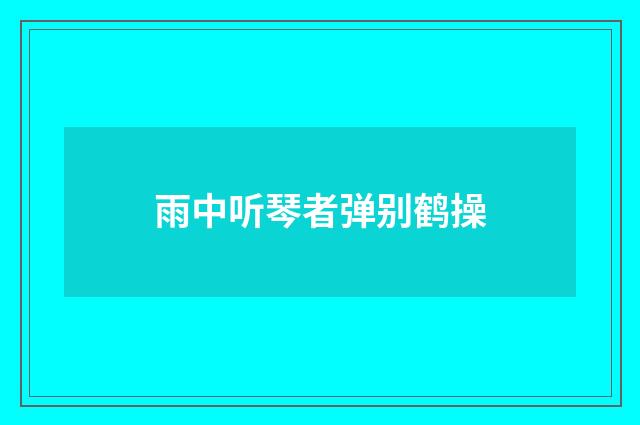 雨中听琴者弹别鹤操