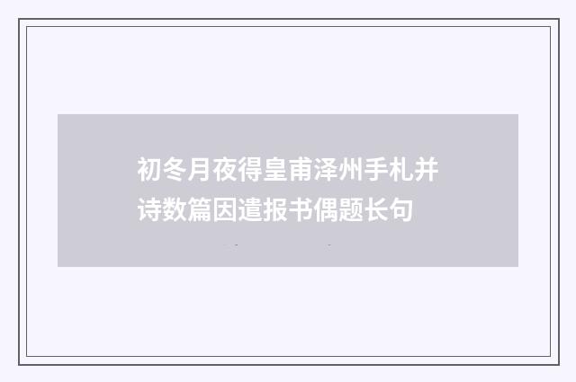 初冬月夜得皇甫泽州手札并诗数篇因遣报书偶题长句