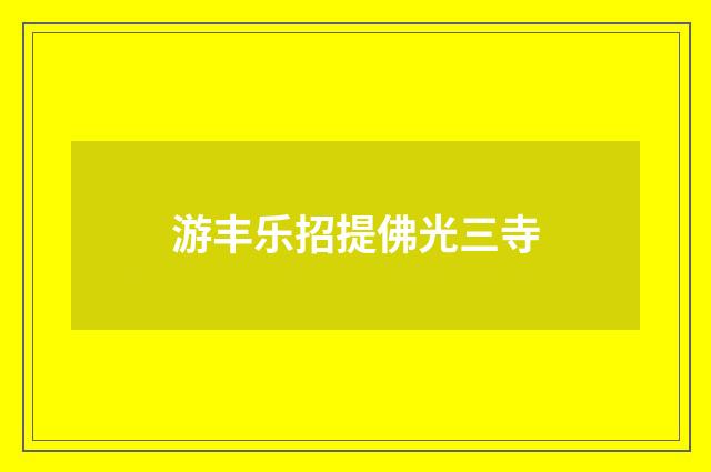游丰乐招提佛光三寺