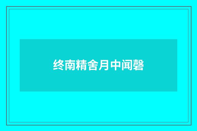 终南精舍月中闻磬