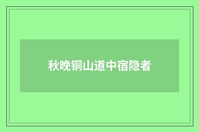 秋晚铜山道中宿隐者