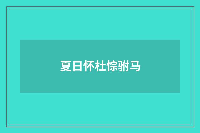 夏日怀杜悰驸马