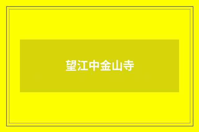 望江中金山寺