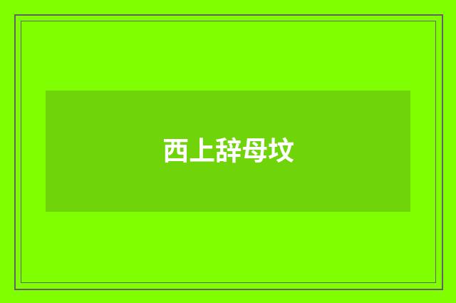 西上辞母坟