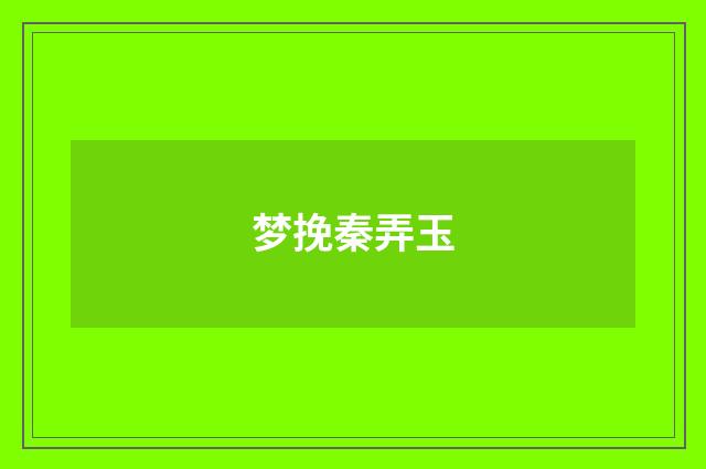 梦挽秦弄玉
