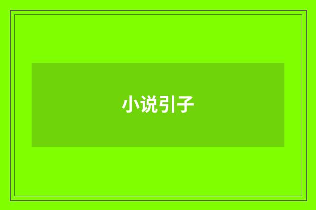 小说引子