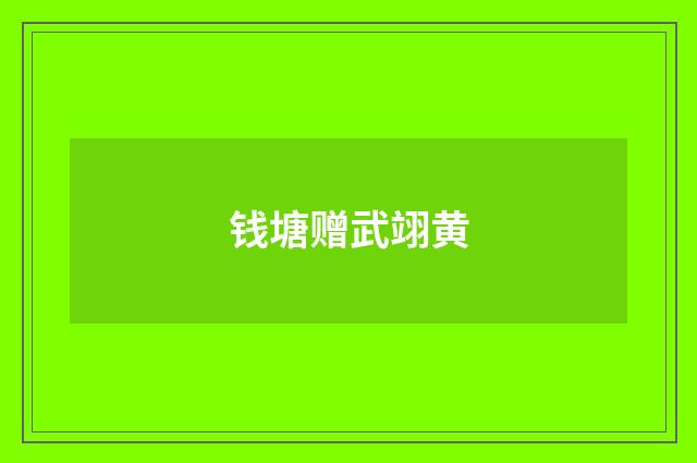 钱塘赠武翊黄