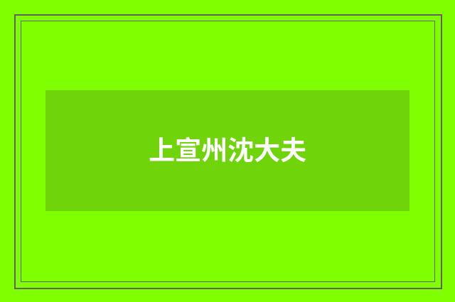 上宣州沈大夫