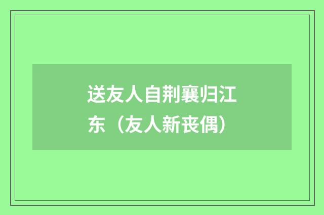 送友人自荆襄归江东（友人新丧偶）