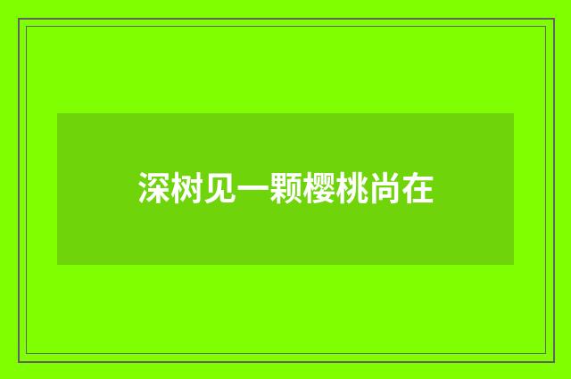 深树见一颗樱桃尚在