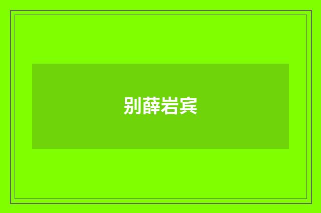 别薛岩宾
