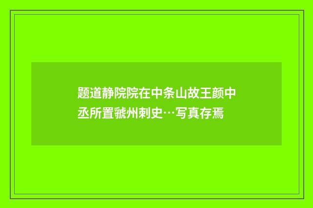 题道静院院在中条山故王颜中丞所置虢州刺史…写真存焉