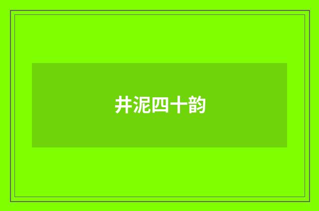 井泥四十韵