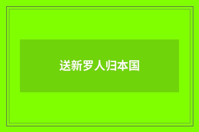 送新罗人归本国