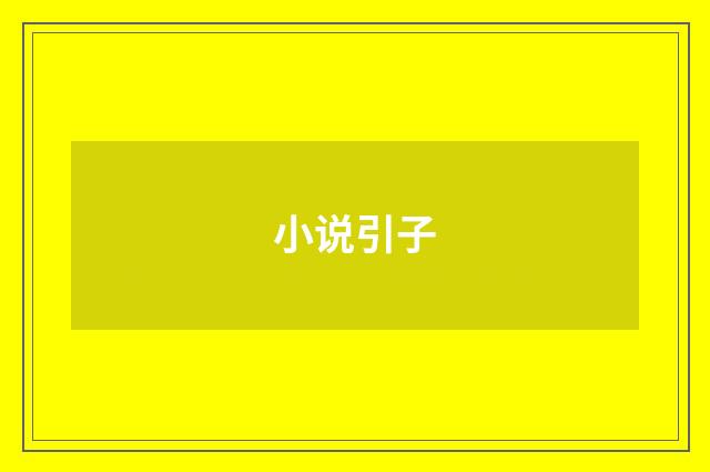 小说引子