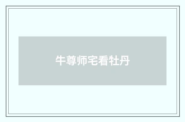 牛尊师宅看牡丹